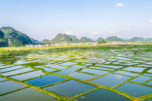 什么是生态观光农业？特点及类型介绍