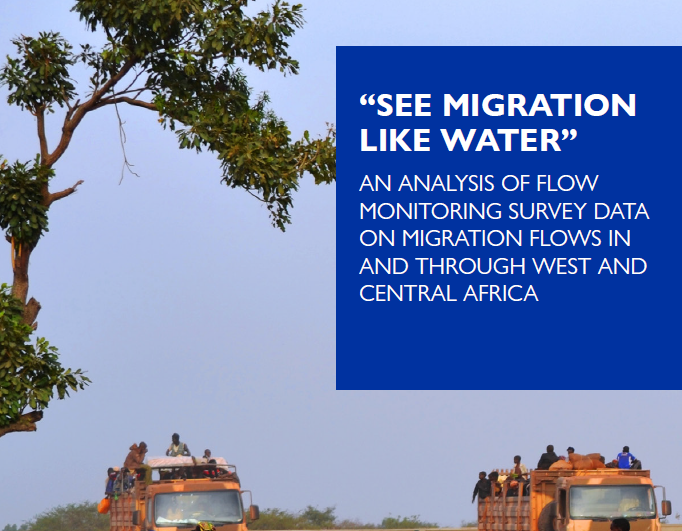 国际移民组织：西非和中非移民脆弱性调查分析报告