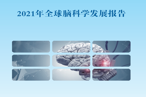 什么是脑科学？发展历程及发展趋势介绍