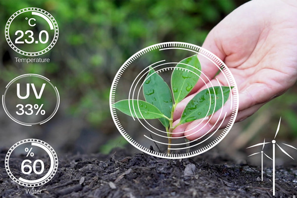 什么是csa社区支持农业？有哪些特点？意义和作用介绍