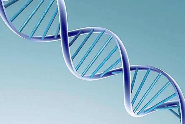 世邦魏理仕：2021年亚太地区生命科学行业最新发展政策分析