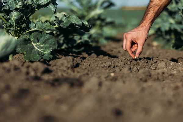 什么是土地产权？具有什么特征？类型介绍