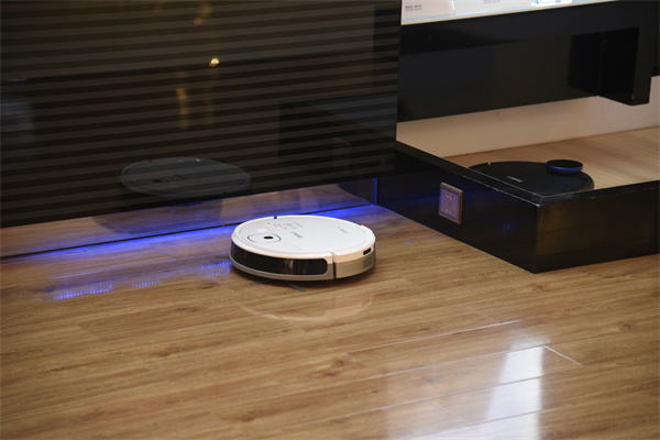 汇丰银行(HSBC)：中国未来消费行业-中国扫地机器人行业研究报告.pdf(附下载)