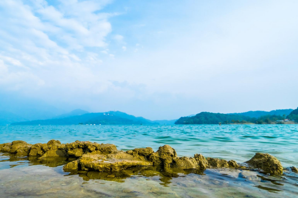 什么是水质生态净化技术？有哪些？