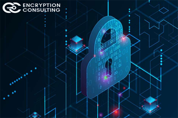 Encryption Consulting：2022年全球公钥基础设施(PKI)和物联网趋势调查报告.pdf(附下载)