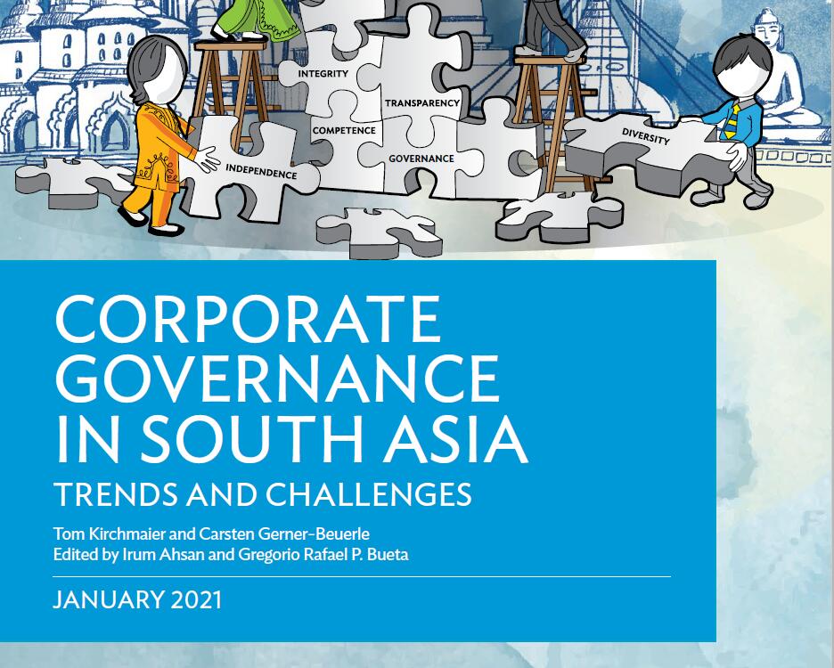 南亚地区的公司改革重点问题和建议有哪些