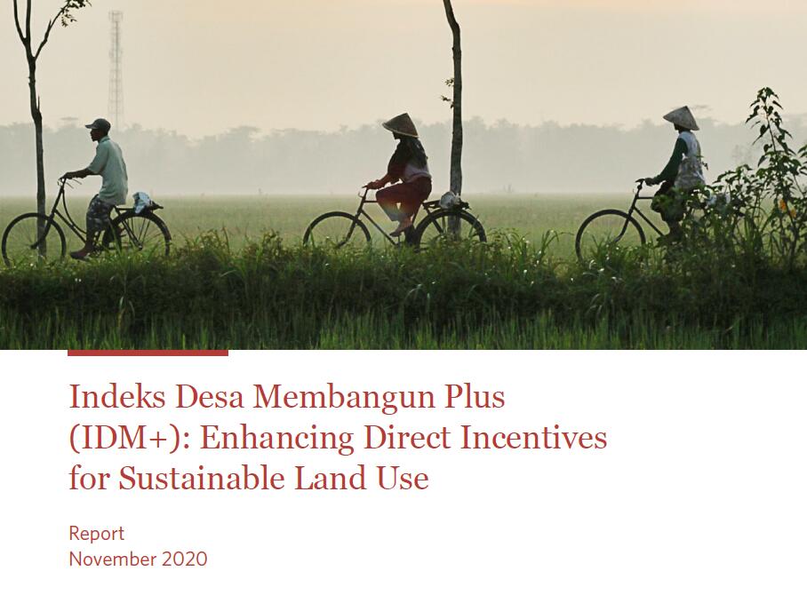 可持续农村发展指数(IDM+)作为直接财政激励农村绩效的试验情况分析