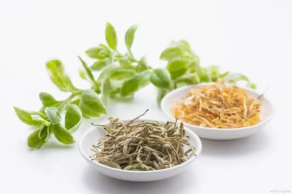 中国公路行业发展现状及未来趋势分析