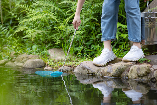 什么是研学旅游？构成要素有哪些？特征分析