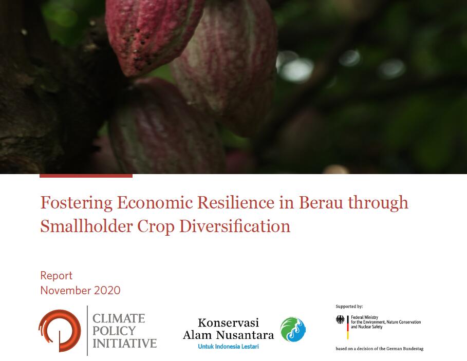 棕榈油为贝劳地区提供农民经常性收入和较低劳动力需求