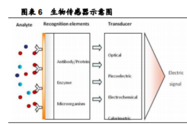 生物传感器由哪几部分组成？有哪几种？应用介绍