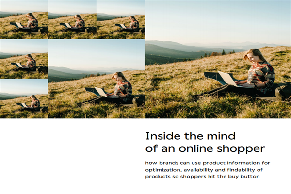 inRiver：走进在线购物者的内心深处(pdf版)