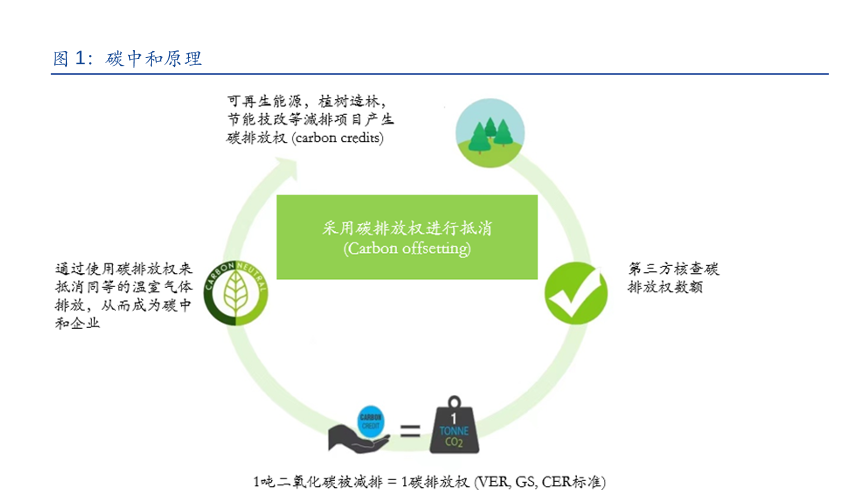 碳中和原理情况分析