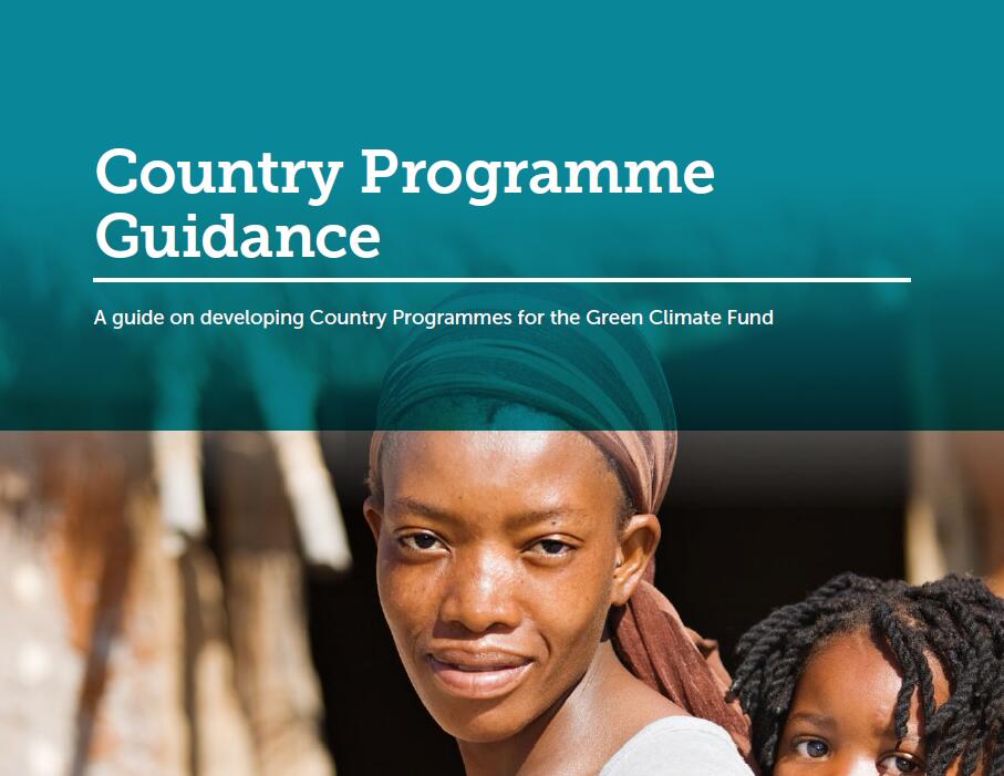 各国确定绿色气候基金优先项目和方案时的考虑因素