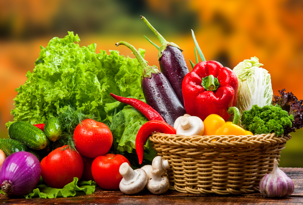 什么是食品安全追溯制度？分类、标准与实施意义介绍