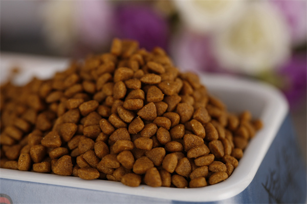 什么是宠物饲料？种类有哪些？