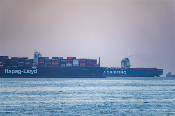 国际货运代理的业务范围有哪些？具体作用是？