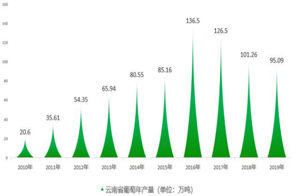 云南葡萄产业发展现状及发展存在的问题分析