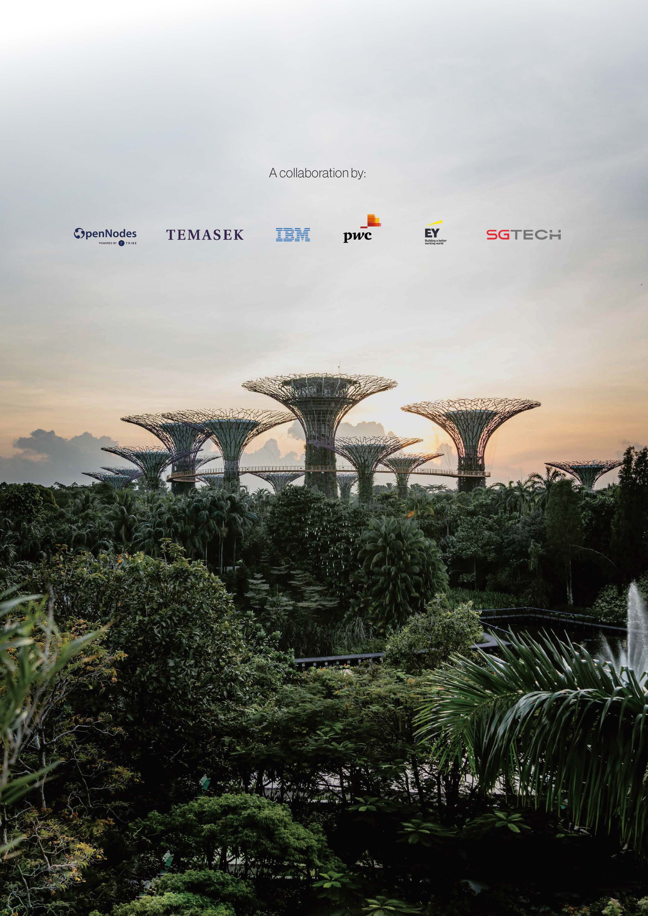 Singapore Blockchain Report 2020 - Infocomm Media & Monelary Authority_页面_02.jpg