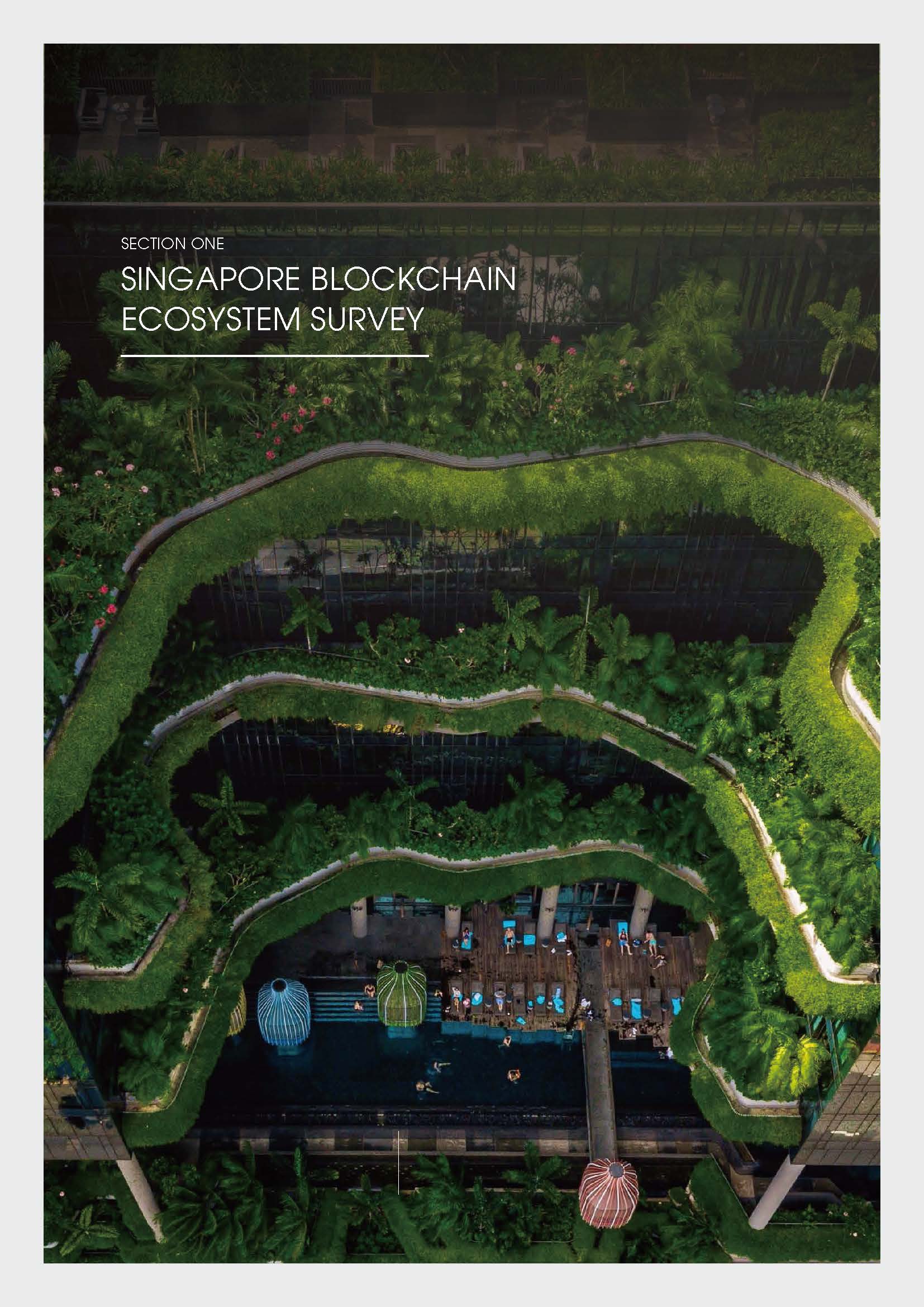 Singapore Blockchain Report 2020 - Infocomm Media & Monelary Authority_页面_09.jpg