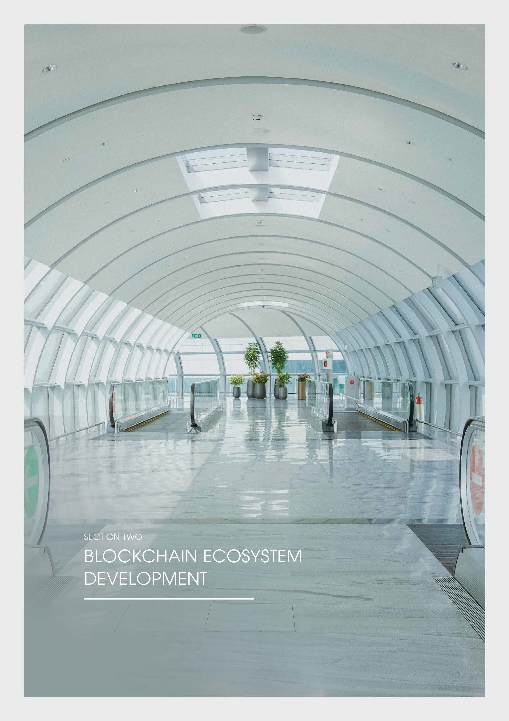 Singapore Blockchain Report 2020 - Infocomm Media & Monelary Authority_页面_17.jpg