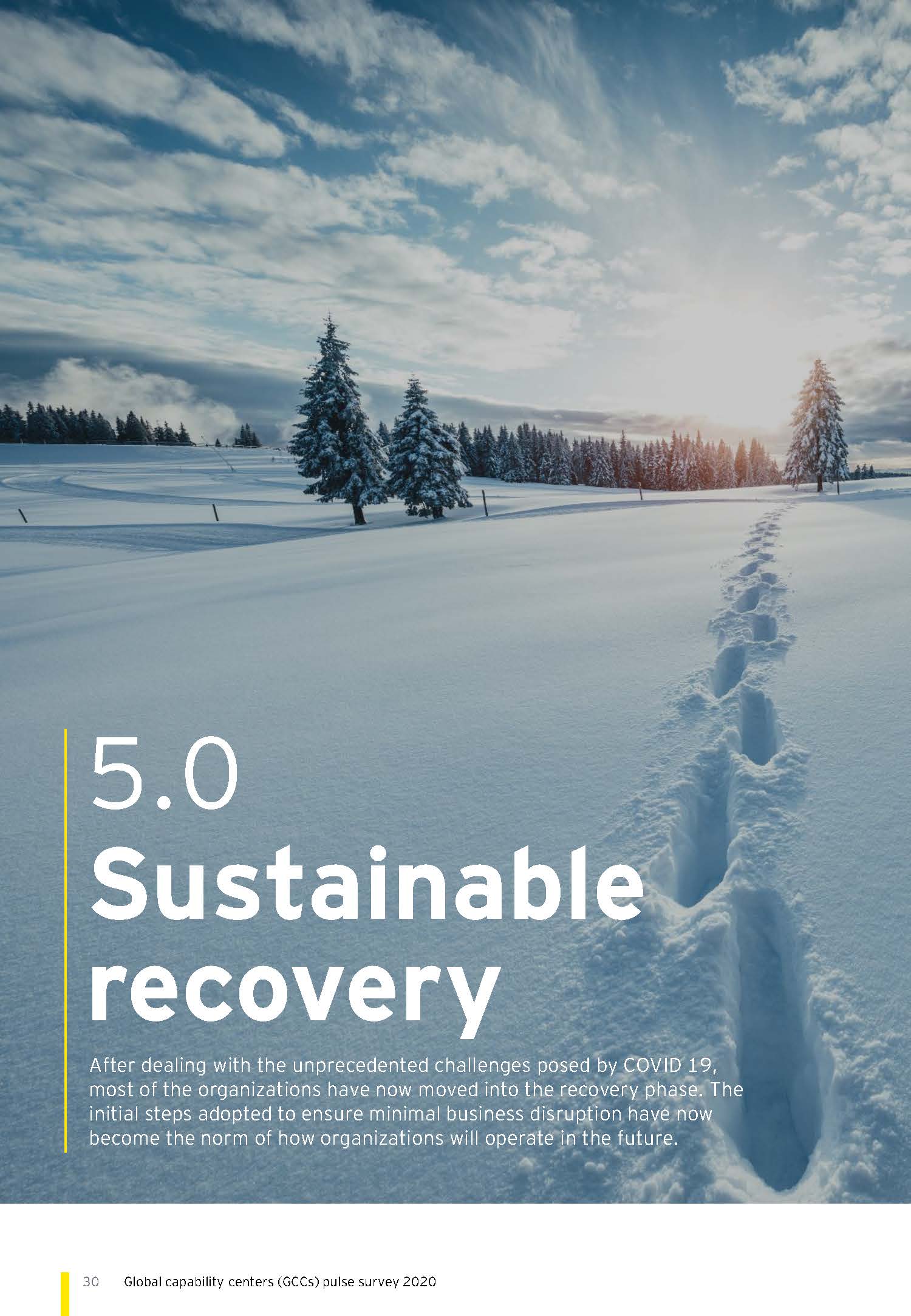 Global capability centers (GCCs) pulse survey 2020_页面_30.jpg