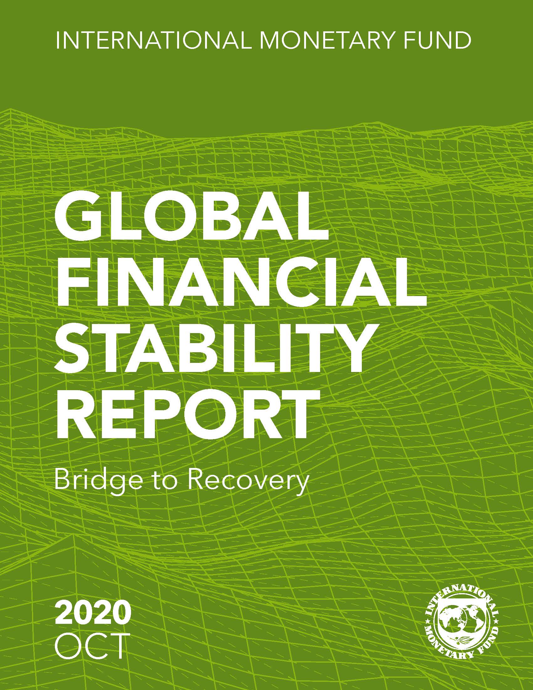 Global Financial Stability Report：Bridge to Recovery_页面_001.jpg