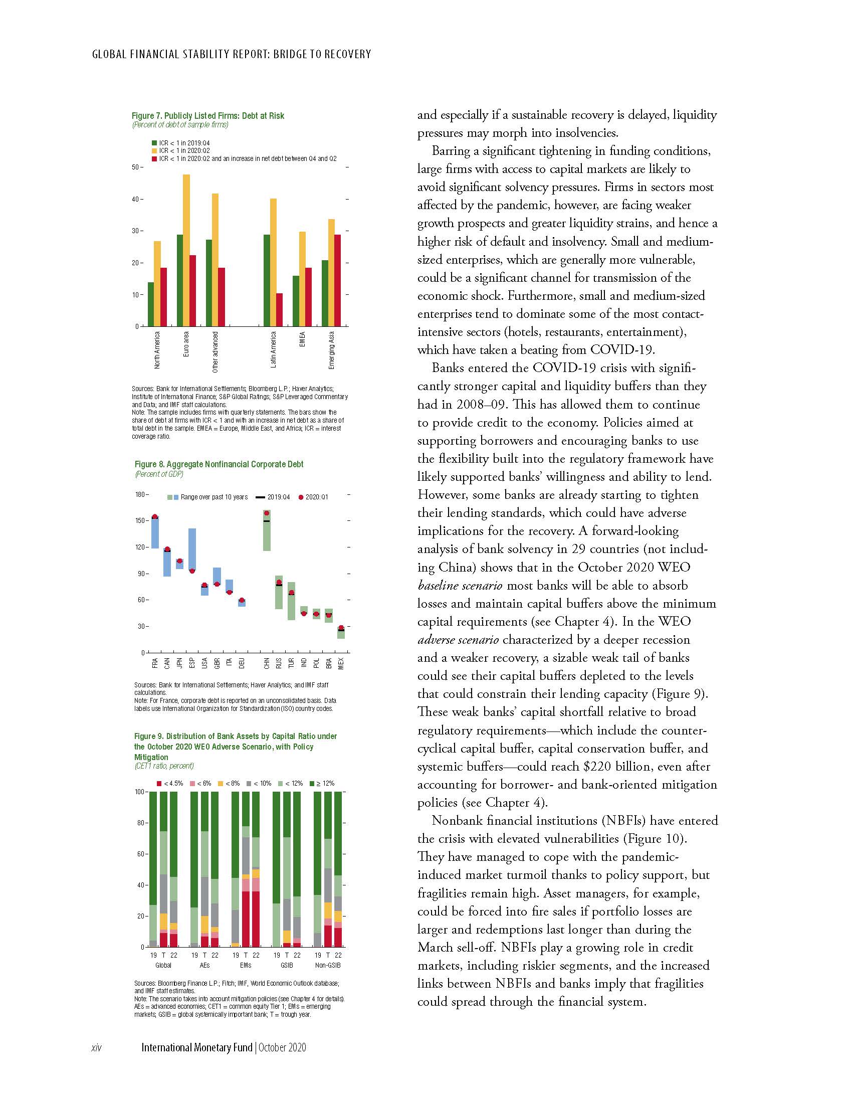 Global Financial Stability Report：Bridge to Recovery_页面_016.jpg