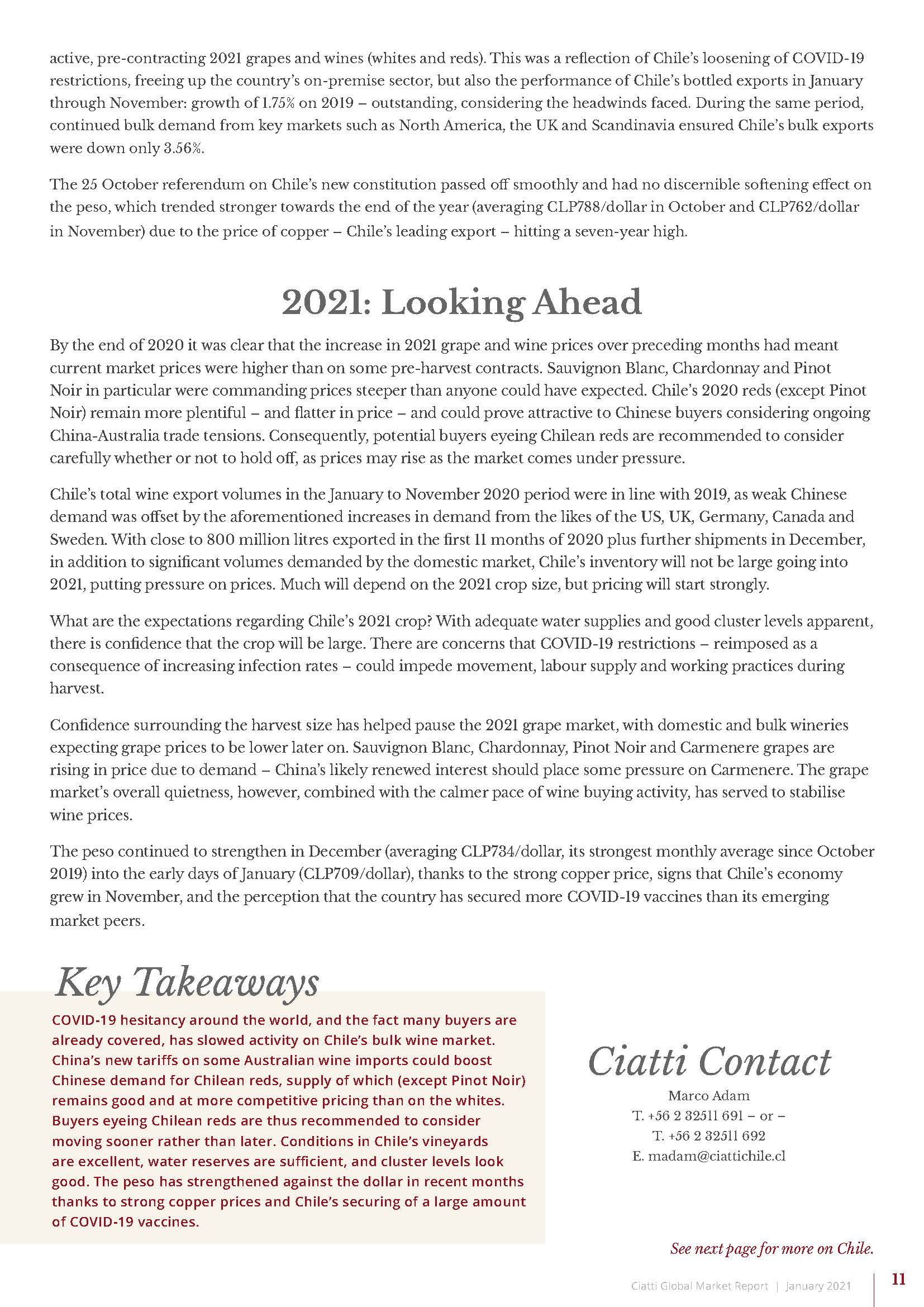 Global Market Report 2021_页面_11.jpg