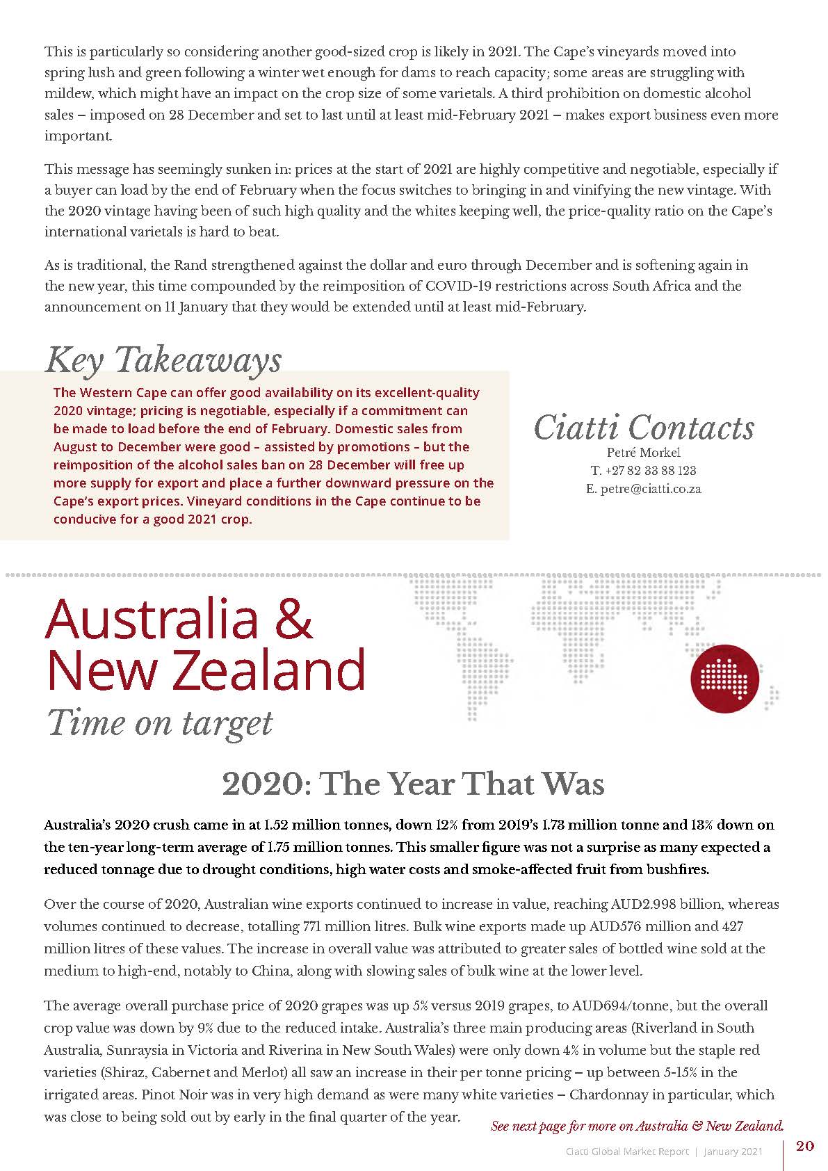 Global Market Report 2021_页面_20.jpg