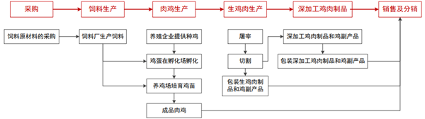 鸡肉生产产业链