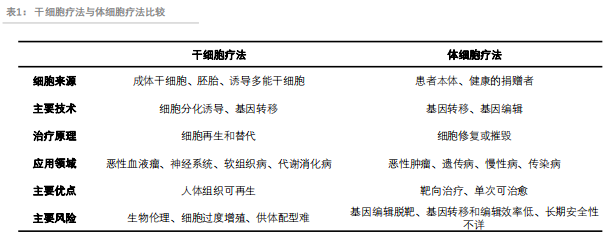干细胞疗法