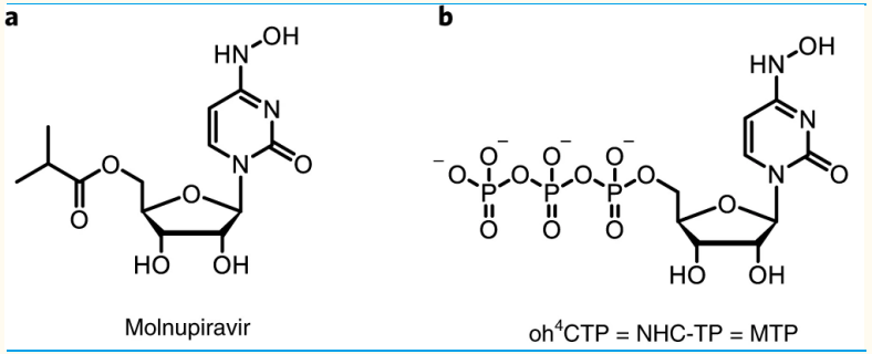 Molnupiravir分子结构图