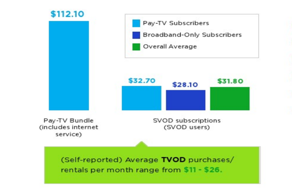 在线视频服务消费者月均支出