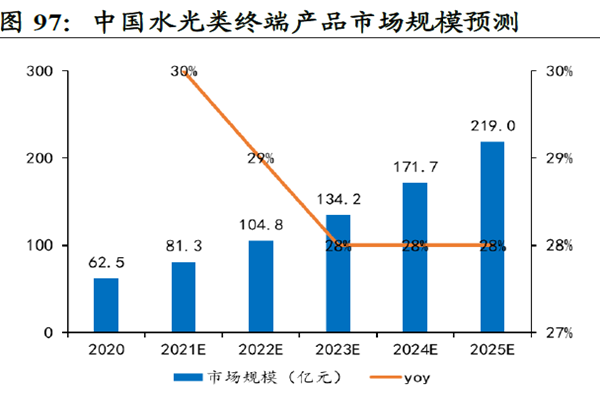 中国水光类终端产品市场规模预测