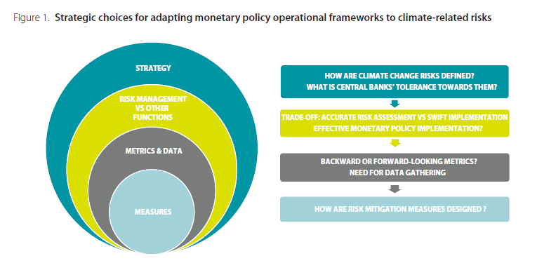 调整货币政策操作框架以适应气候相关风险的战略选择.png