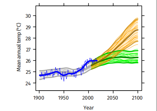 世界卫生组织发布2021年牙买加卫生气候变化概况