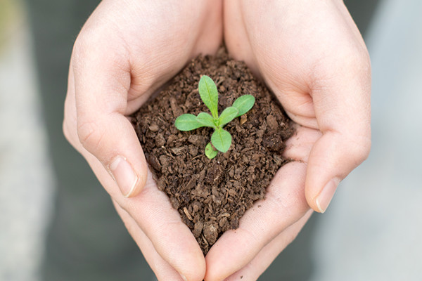 核证自愿减排量