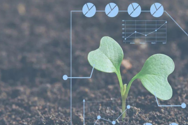 生态循环农业发展前景