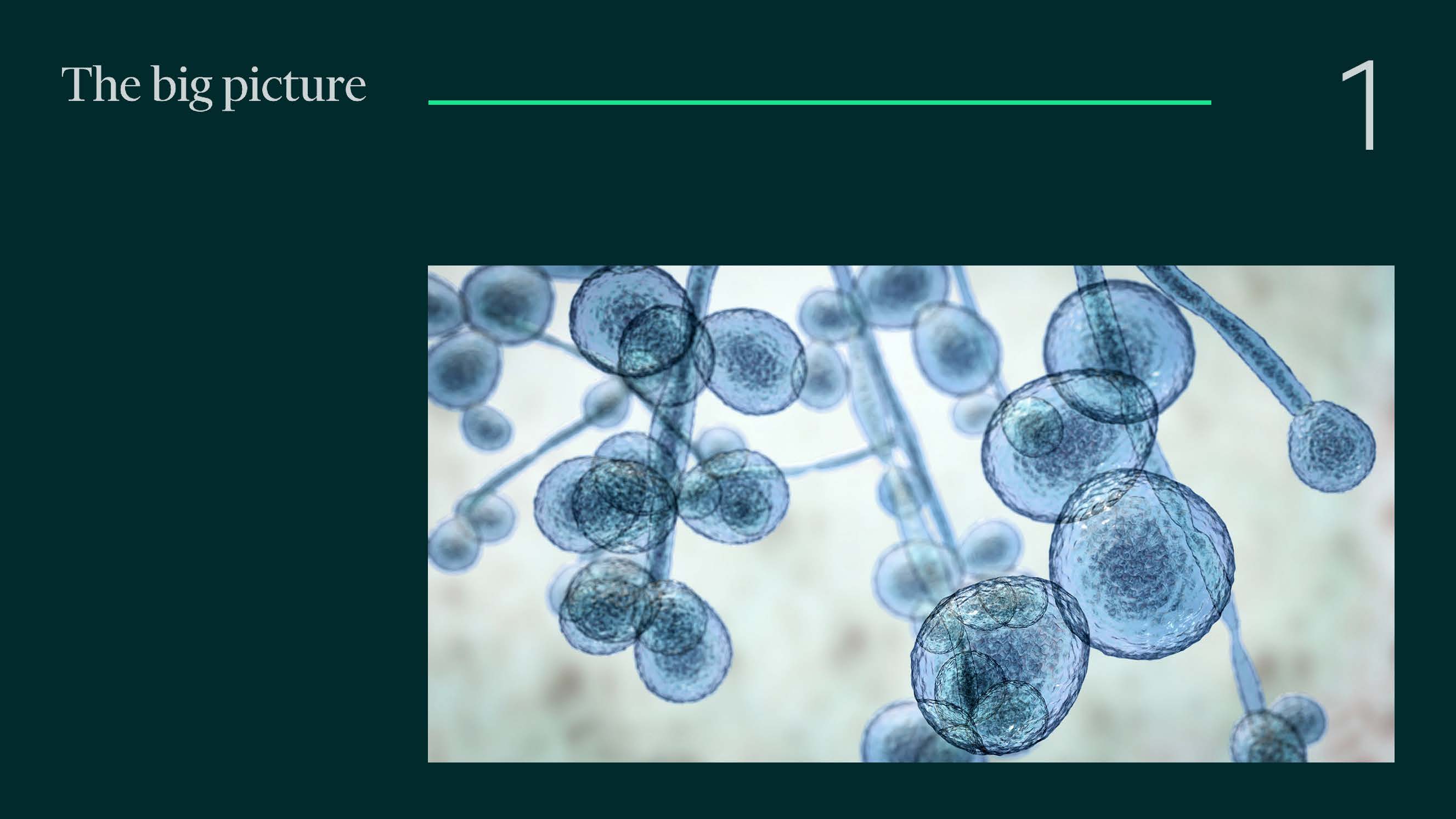 美国生命科学发展