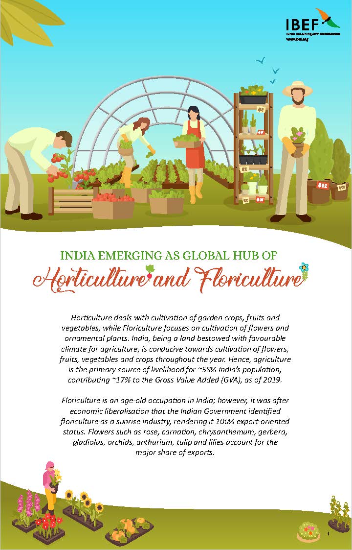 花卉园艺产业研究报告