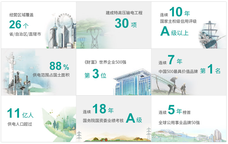 两大电网公司简介 两大电网公司简介