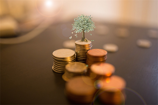 偏股型开放基金