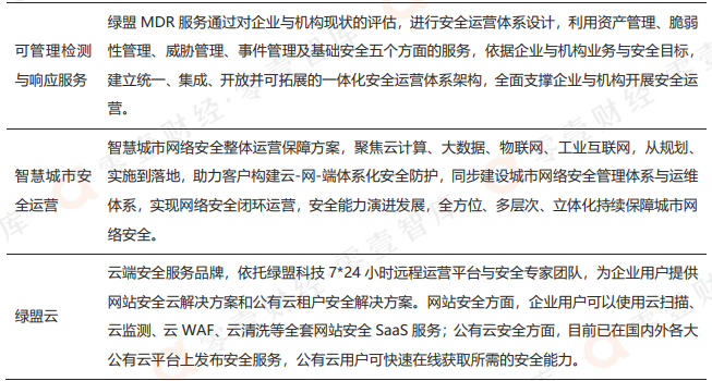 其他专业安全服务