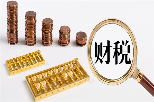 财税数字化 财税数字化