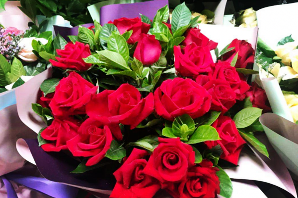 玫瑰花暴涨 玫瑰花暴涨