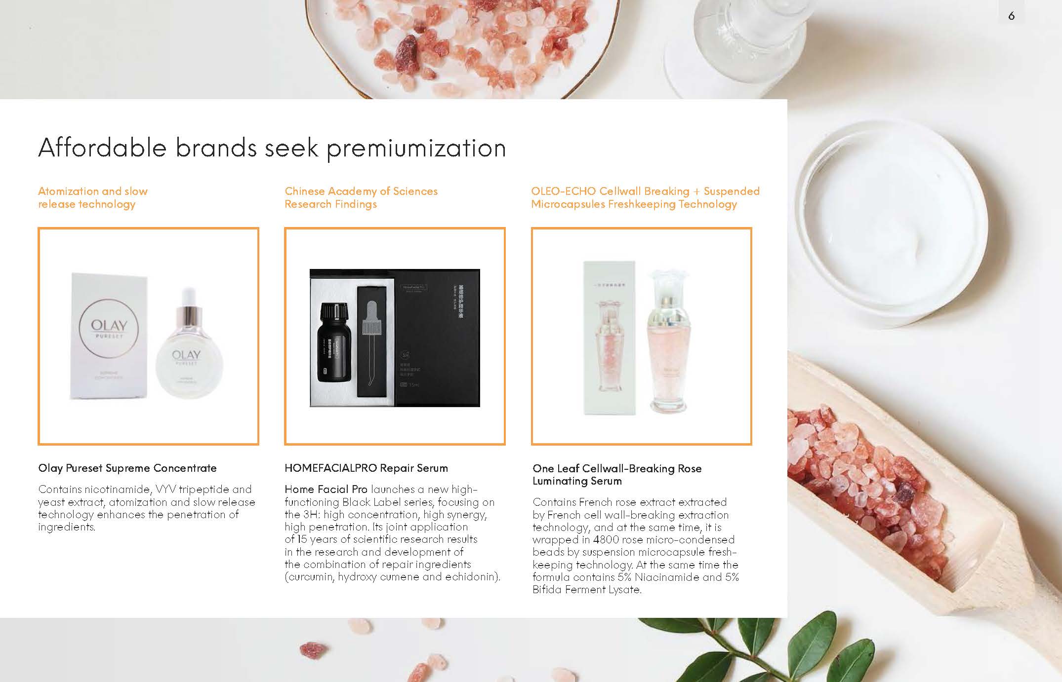 中国护肤品市场报告