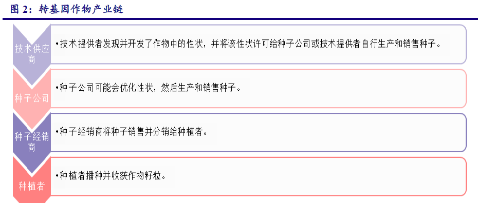 什么是转基因育种？技术步骤、盈利模式与产业链梳理
