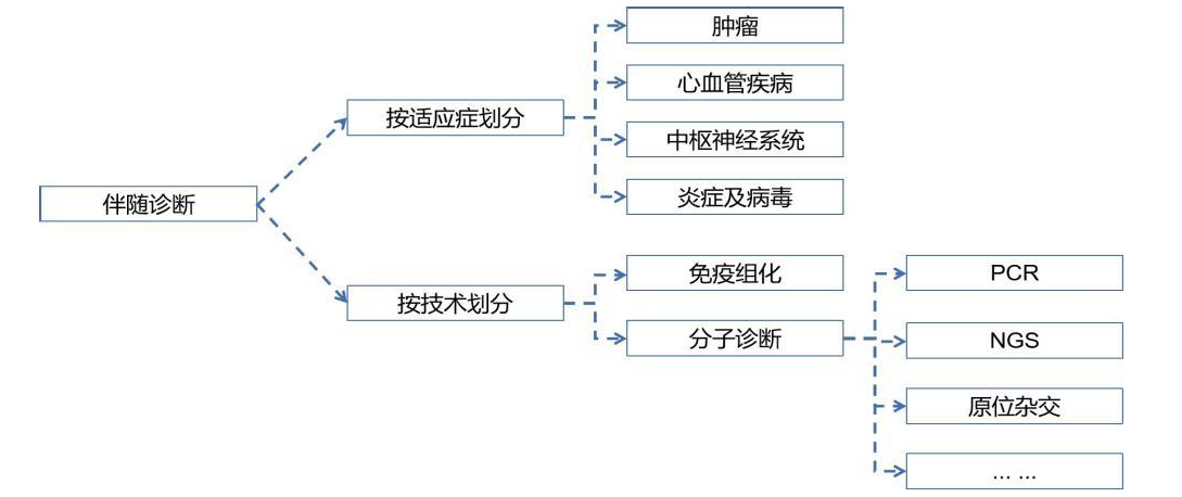 伴随诊断(CDx)是精准医疗领域的一种体外诊断技术,能够提供患者针对某一特定治疗药物的治疗反应信息,有助于患者群体能够确保从该产品中获益,进而提高患者治疗效率,降低治疗开支。