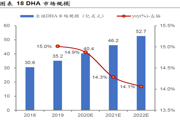 DHA 市场规模 DHA 市场规模